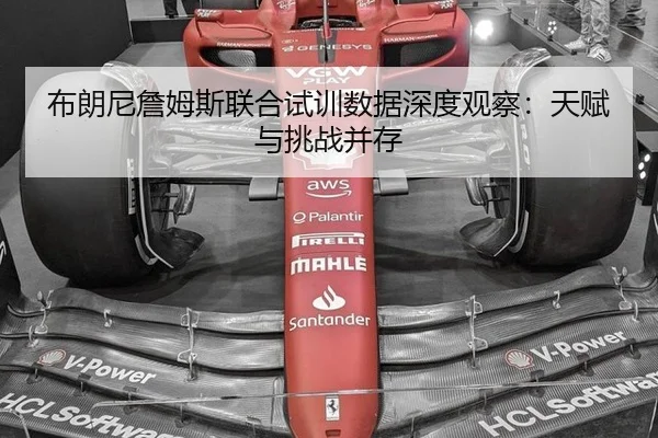布朗尼詹姆斯联合试训数据深度观察：天赋与挑战并存